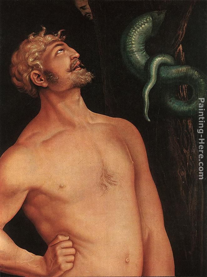 Adam (detail) painting - Hans Baldung Adam (detail) art painting